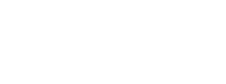 ZAVZET Logo